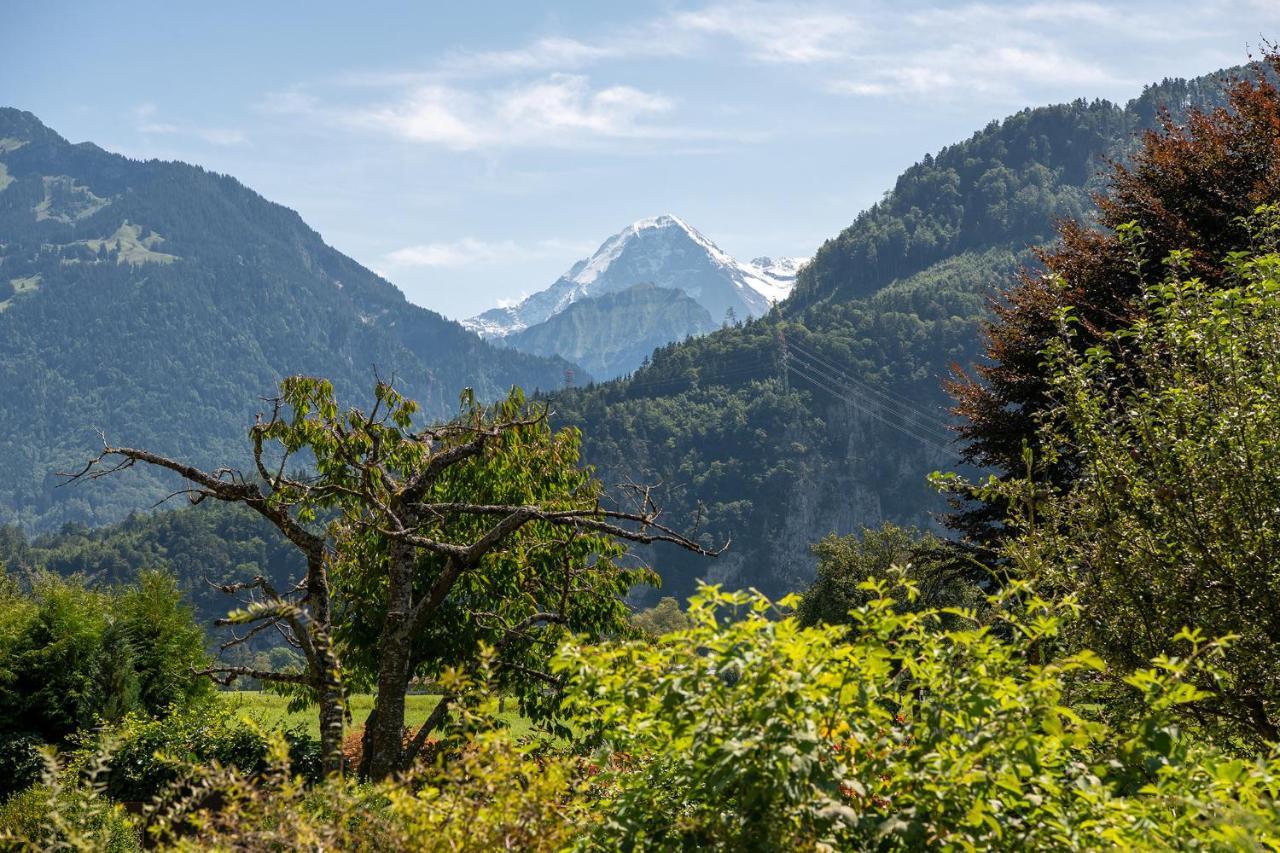Salzano Basic Rooms Interlaken Zewnętrze zdjęcie
