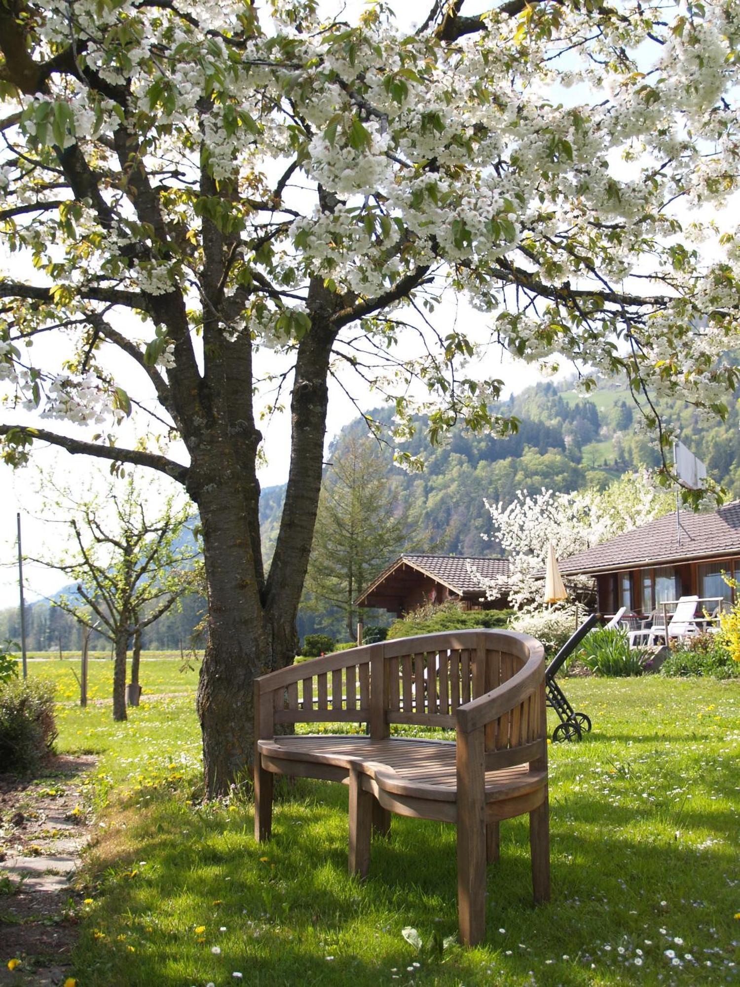 Salzano Basic Rooms Interlaken Zewnętrze zdjęcie