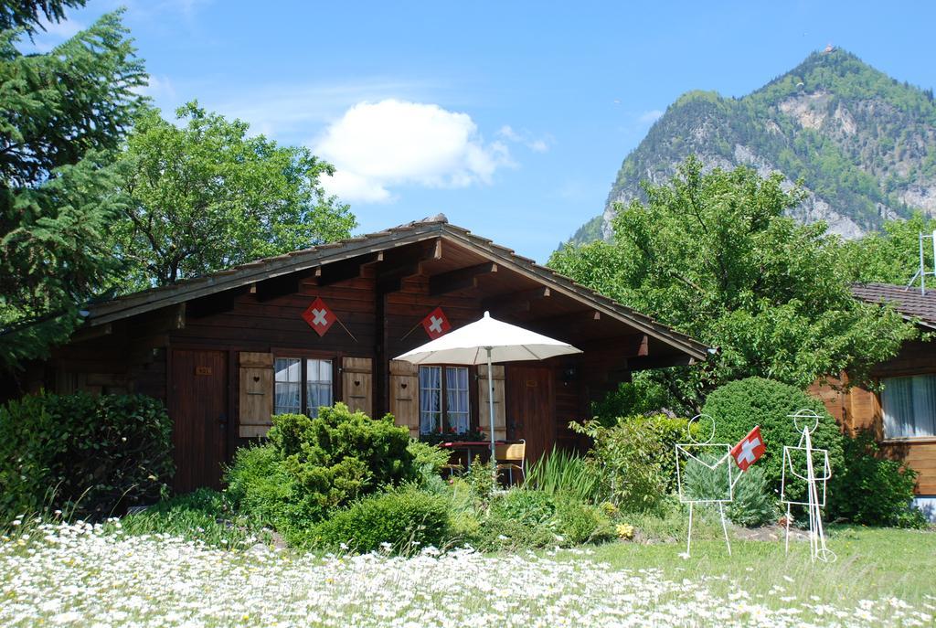 Salzano Basic Rooms Interlaken Zewnętrze zdjęcie