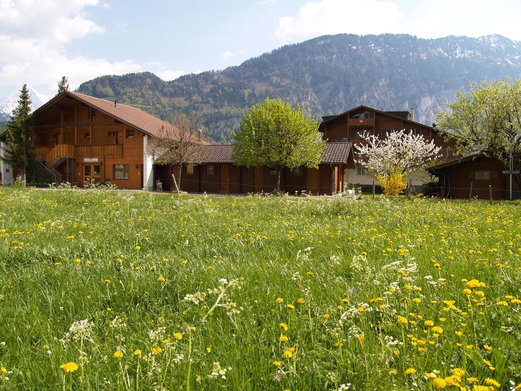 Salzano Basic Rooms Interlaken Pokój zdjęcie